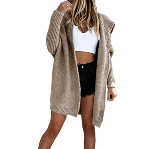 Modern Loose Knit Hooded Sweater